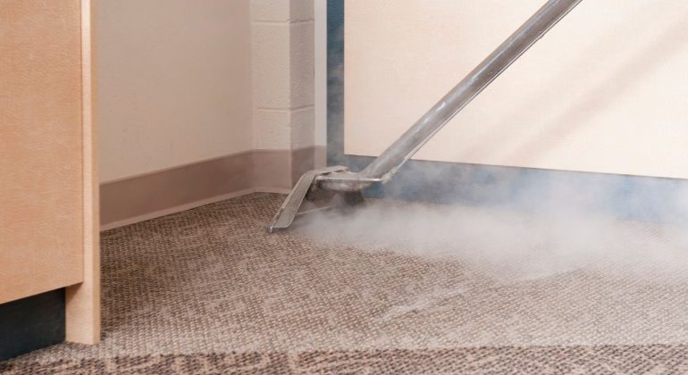 Steam & Dry Carpet Cleaning
