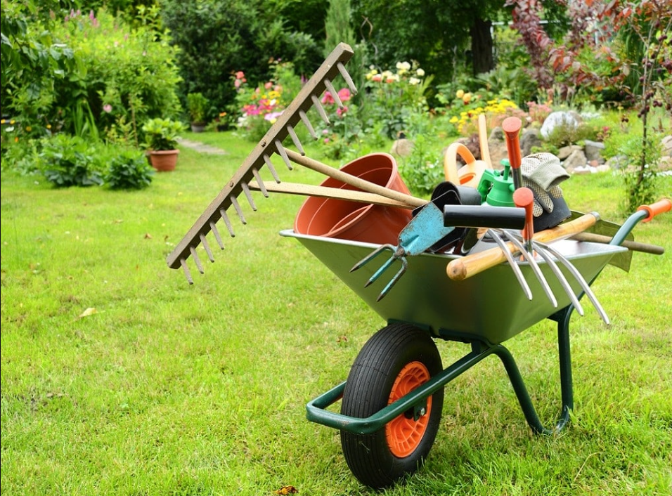 Professional gardener trimming hedges in a Reading garden