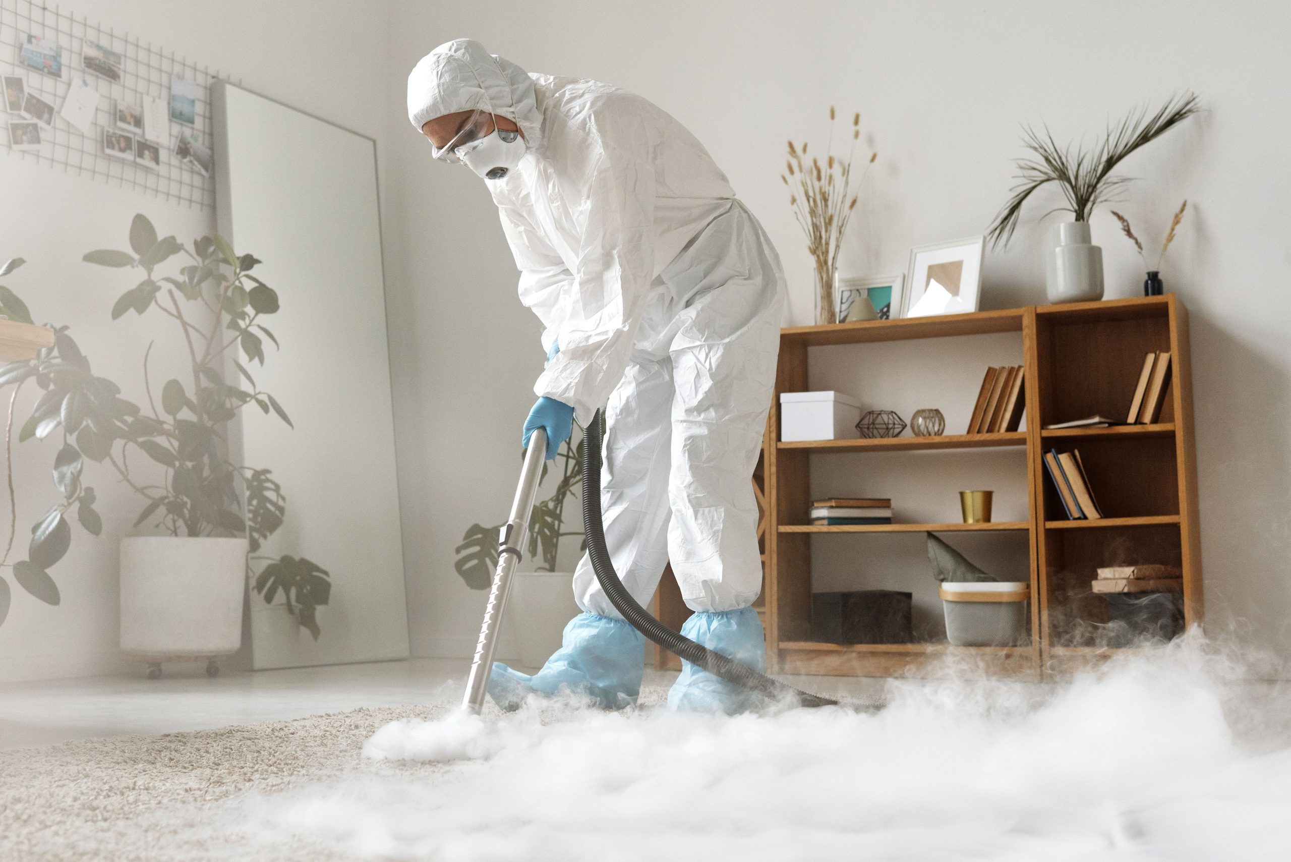 Professional carpet cleaning technician using a hot water extraction wand on a living room carpet in Reading